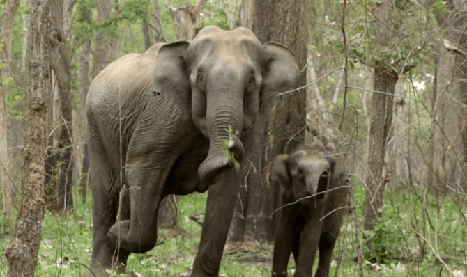 Rajathadri Hill Villa