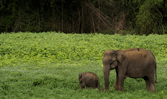 Rajathadri Hill Villa