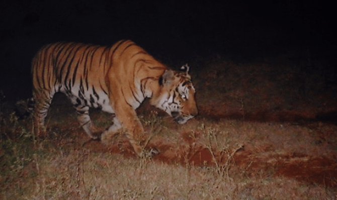 Rajathadri Hill Villa