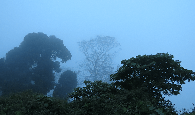 Rajathadri Hill Villa